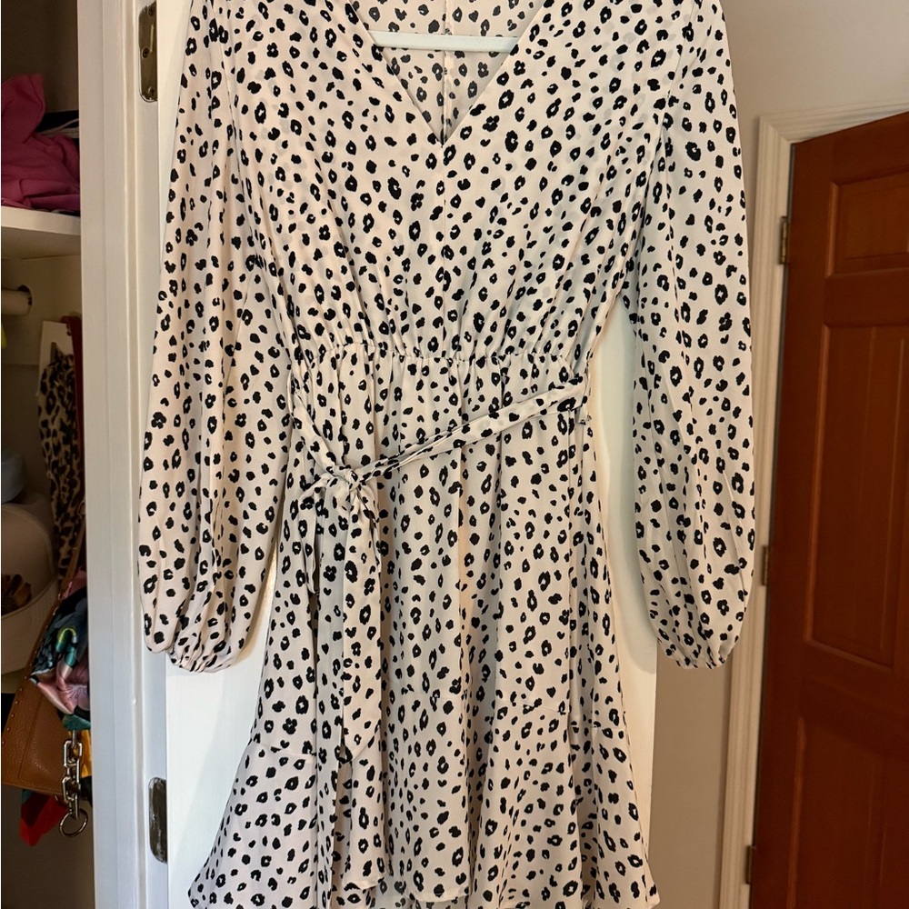 Leopard Print V-Neck Dress